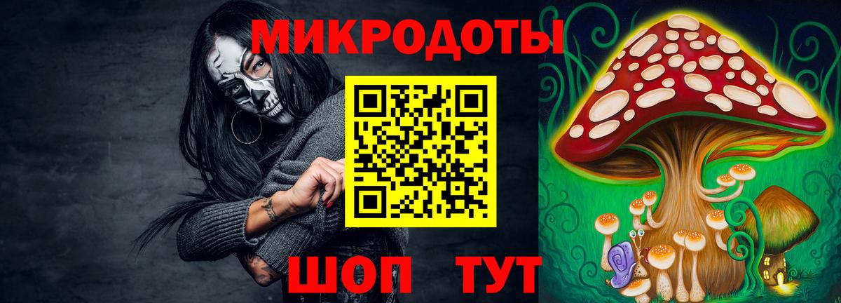 Галлюциногенные грибы Psilocybe  Вход с VPN  где можно купить   Абакан 
