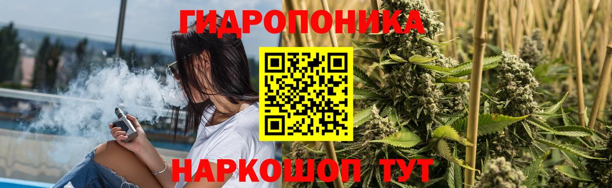 Бошки марихуана VHQ Абакан